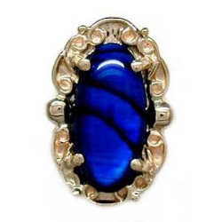 A1601 14K BLUE PAUA SLIDE 
